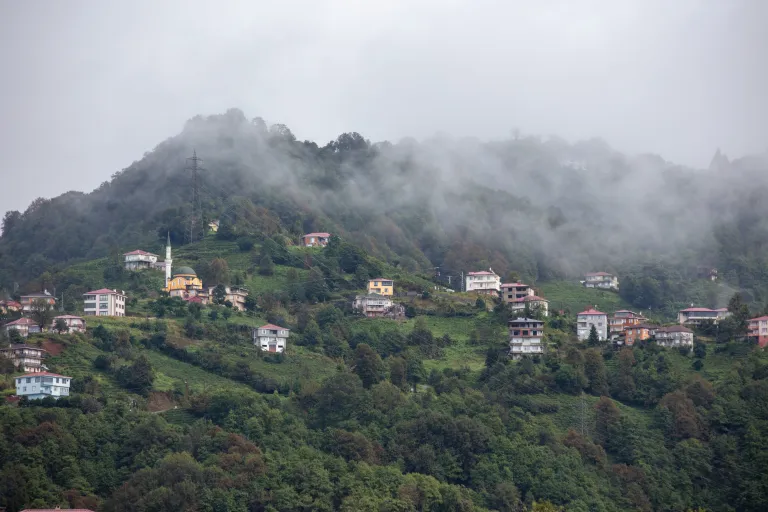 cayeli